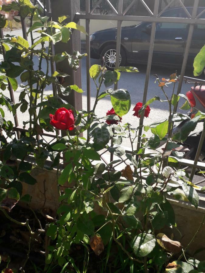 Вилла Roses Скала-Каллирахис Экстерьер фото